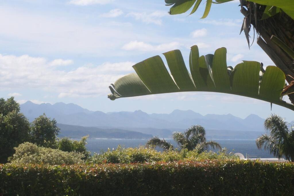 Apartamento Seaviews From Arrowood Plettenberg Bay Exterior foto